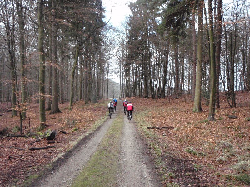 Waldtour 059